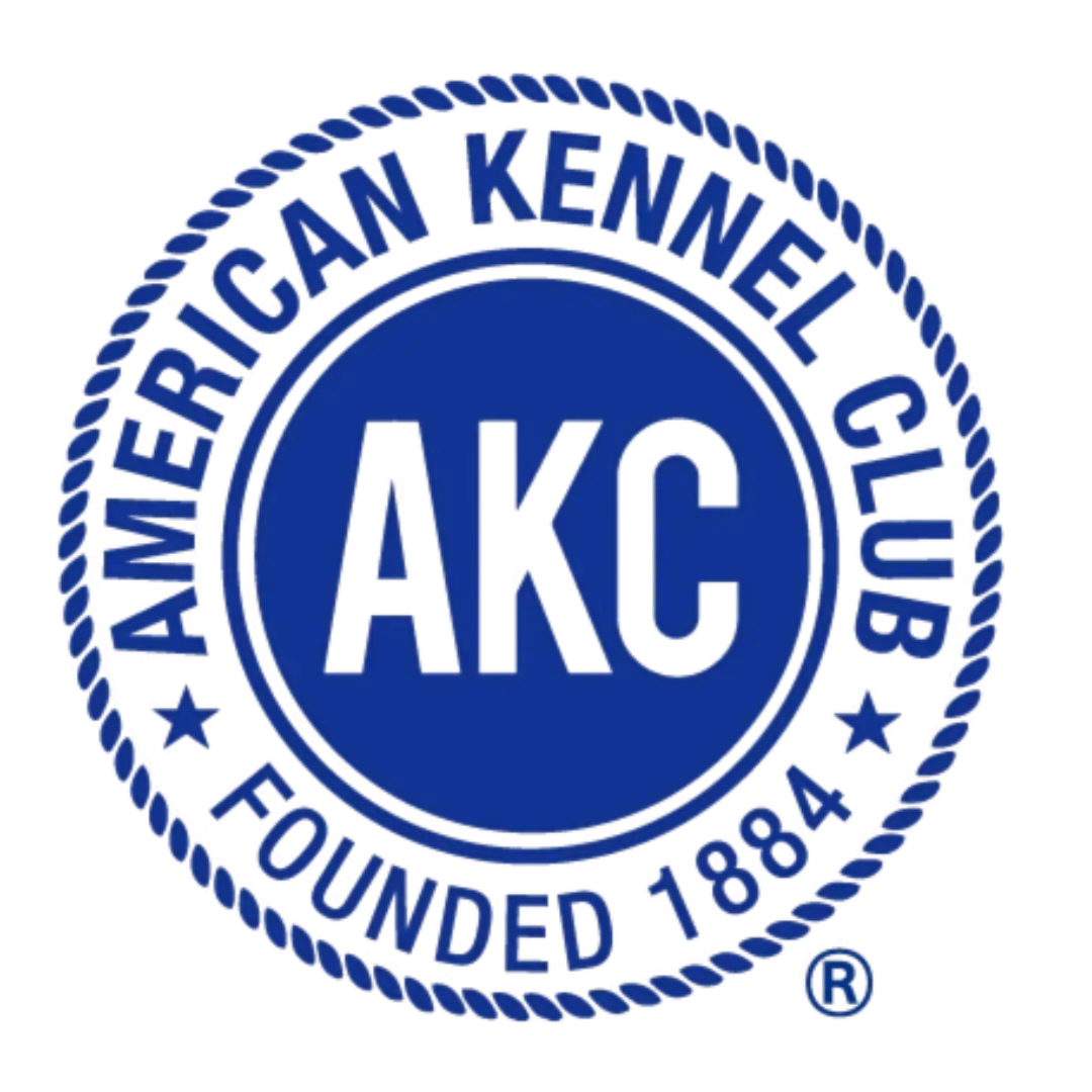 AKC Canine Good Citizen Certified