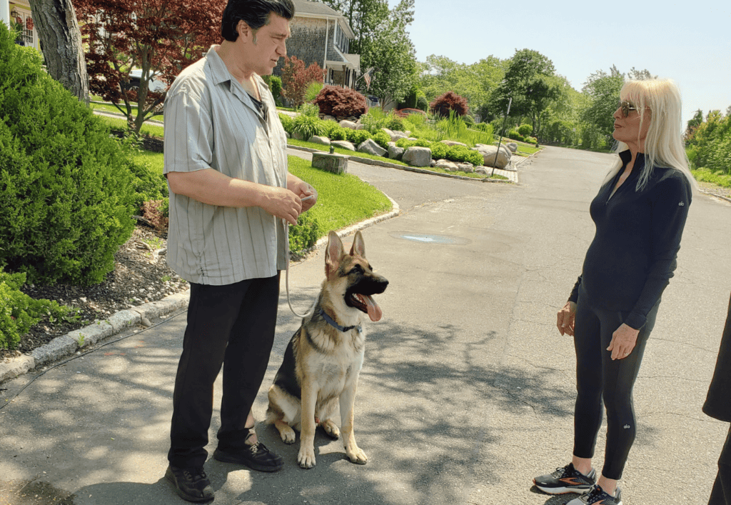 Online dog training video course
