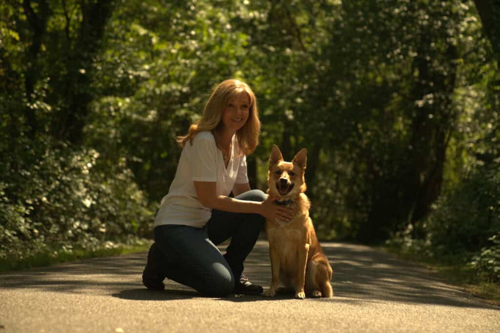 Dog socialization training on Long Island
