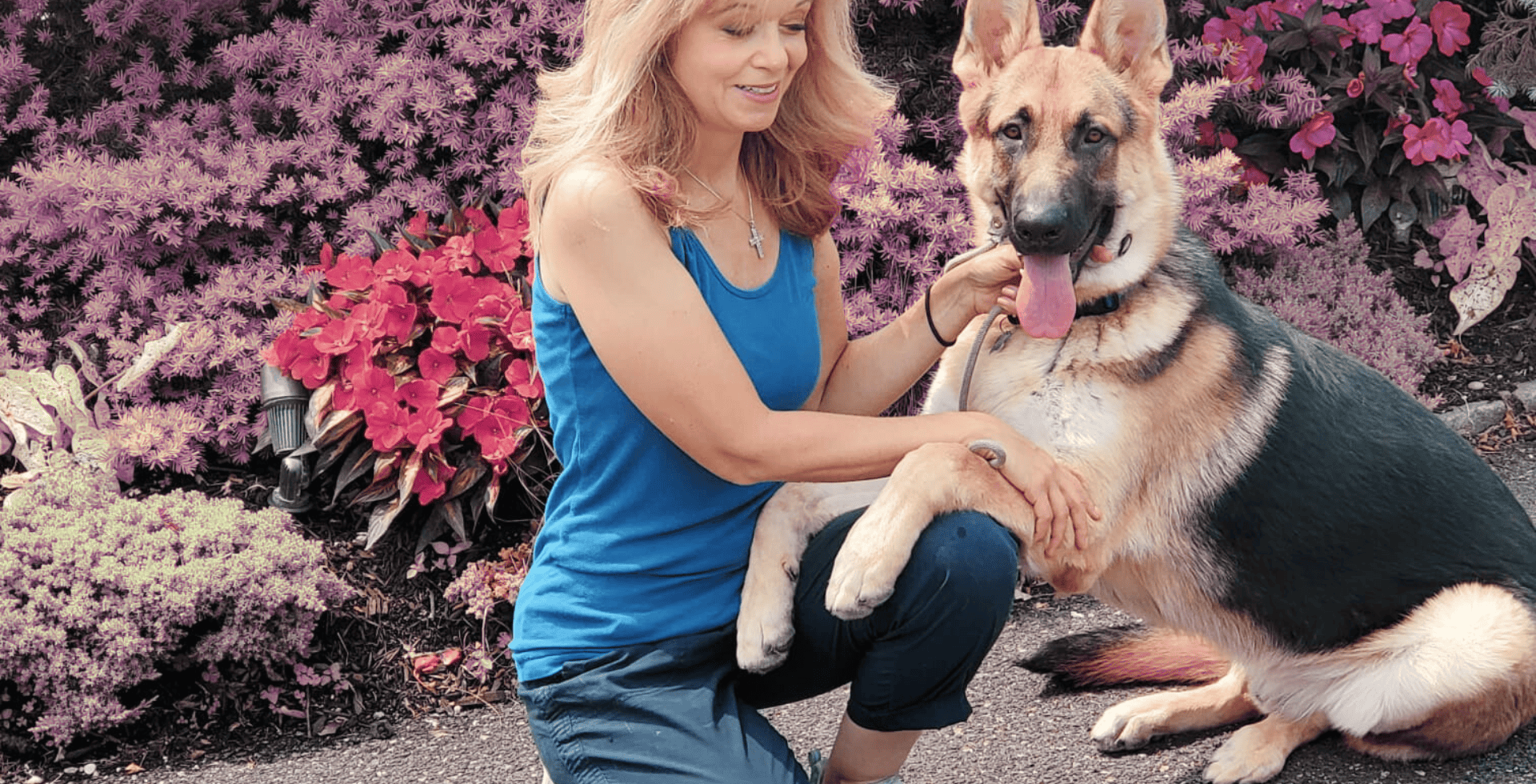 Alpha Dog K9 Training in-home pet training across Long Island