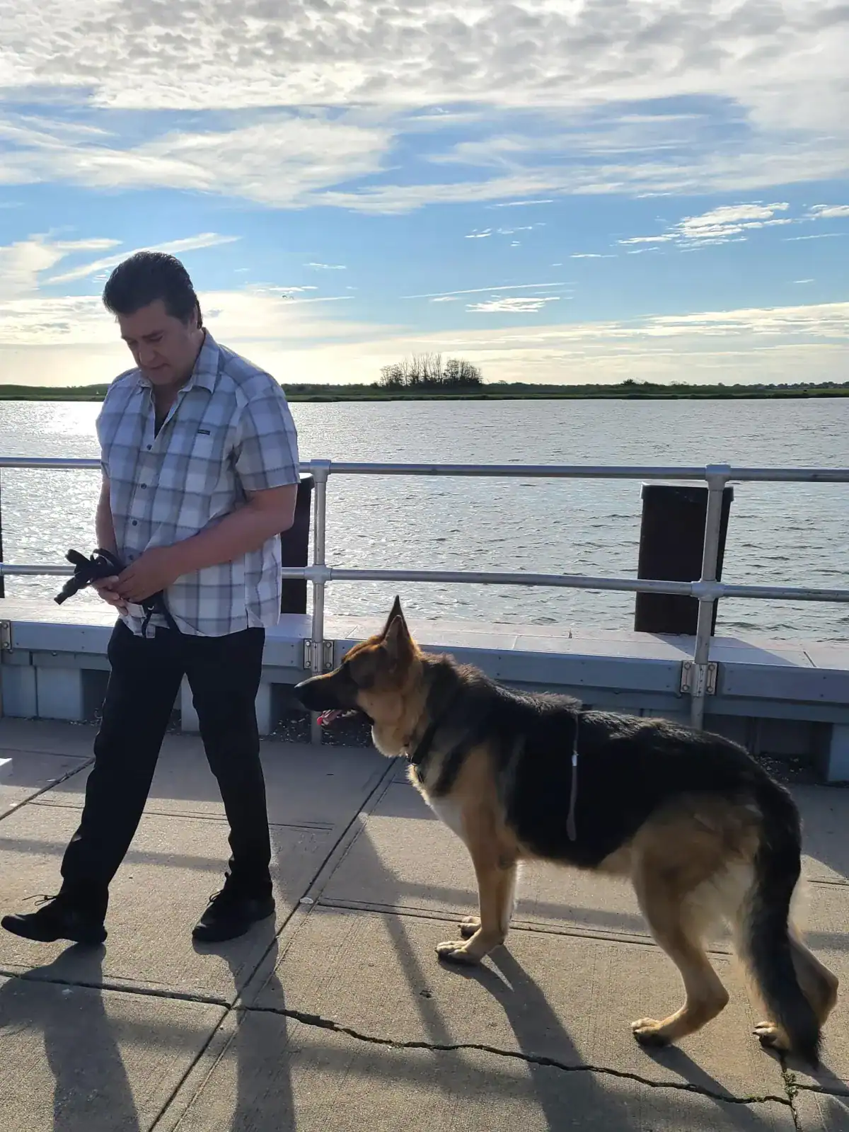 Alpha Dog K9 trainer building a dog's confidence at home