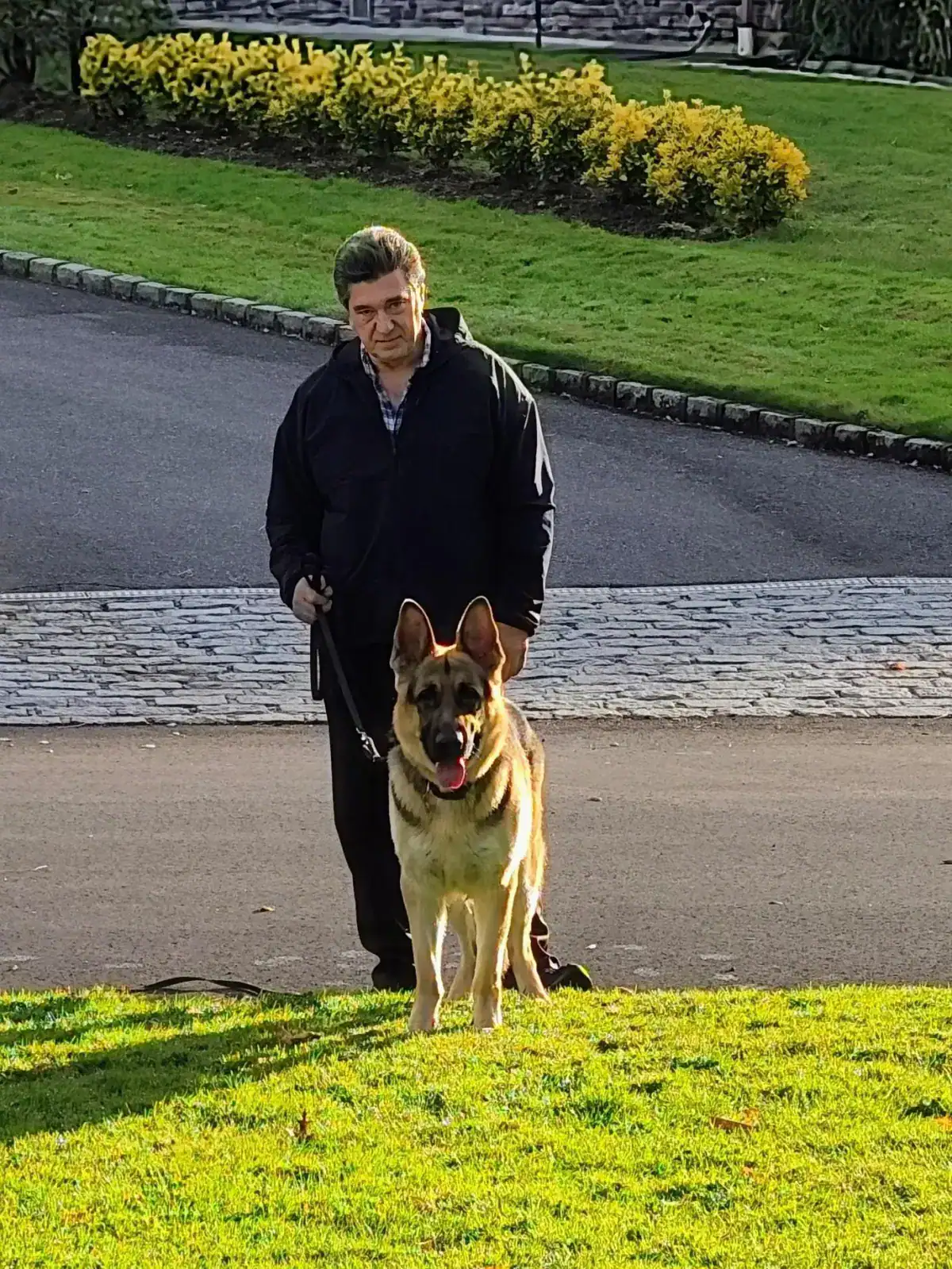 Alpha Dog K9 trainer changing a dog's behavior at the root