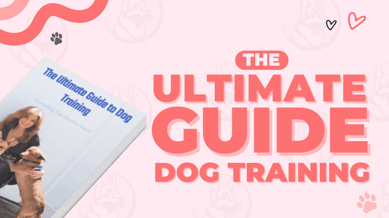 Dog training ebook