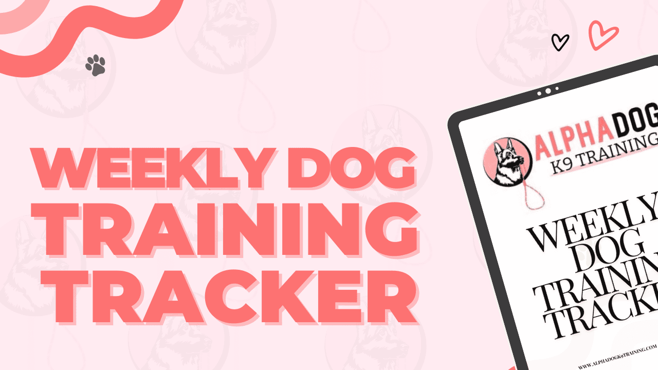 Weekly dog training tracker