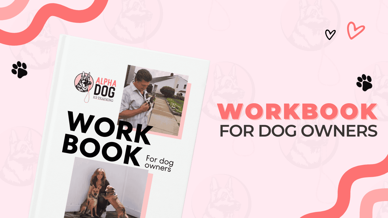 Printable dog training workbook